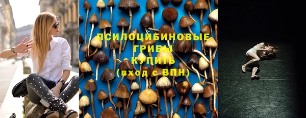 гидропоника Алексеевка