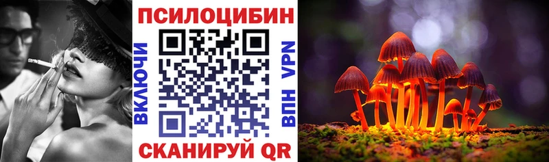 где найти   Мостовской  Псилоцибиновые грибы ЛСД 