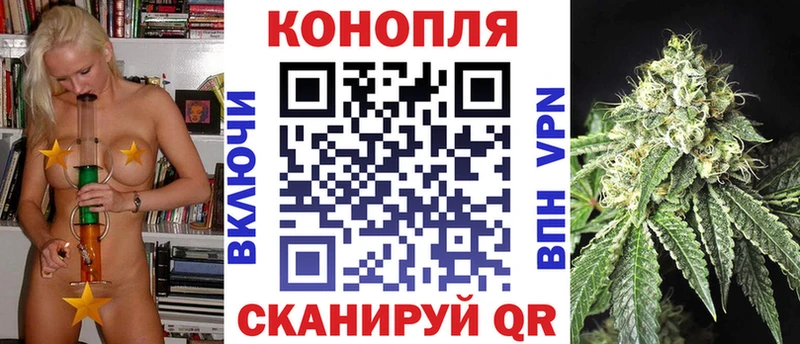 Конопля OG Kush  Мостовской 